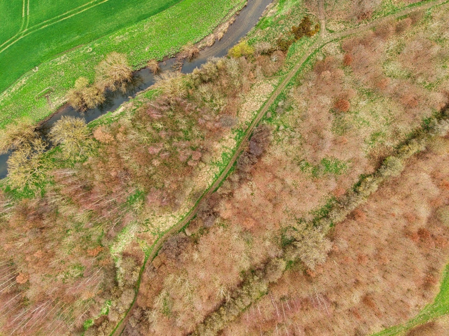 Low Burnhall Sunday 26th April 2026